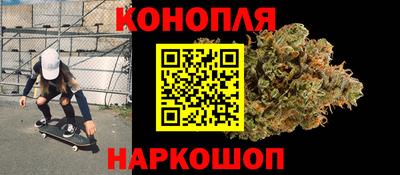 прущие грибы Будённовск