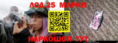 прущие грибы Будённовск