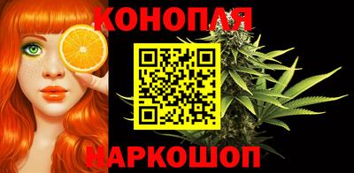 прущие грибы Будённовск