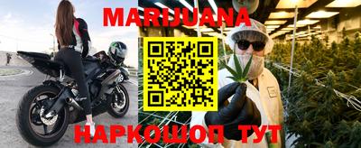 прущие грибы Будённовск