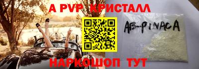 прущие грибы Будённовск