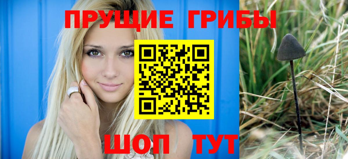 Галлюциногенные грибы Psilocybe Сарапул